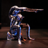 Re-Flexions